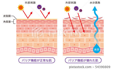 权威解读：最新疾病通报，疫情防控形势及未来展望