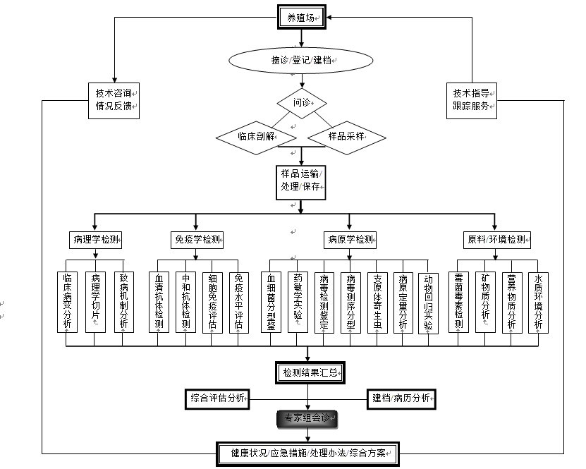 最新掀痧疗法探析：刮痧新趋势与未来展望