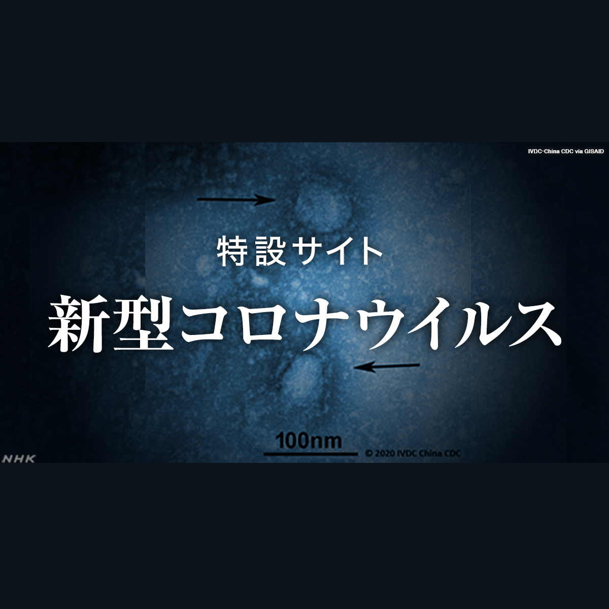 全美最新疫情：病毒变异、疫苗接种率与公共卫生应对策略深度解析