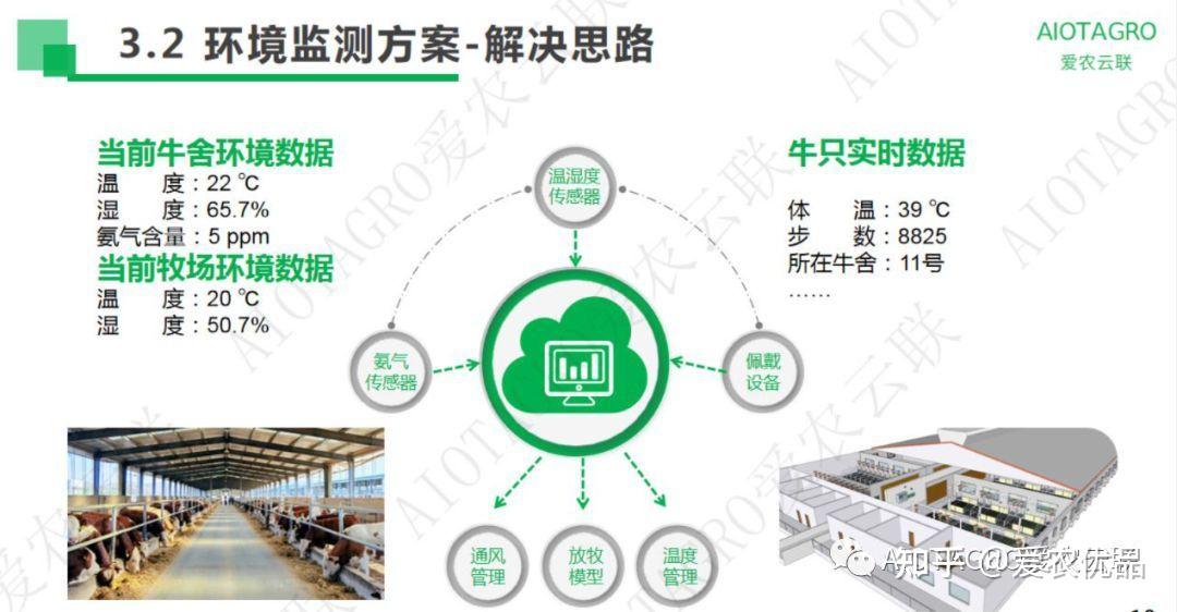 牲教师最新动态：政策解读、行业发展与未来趋势