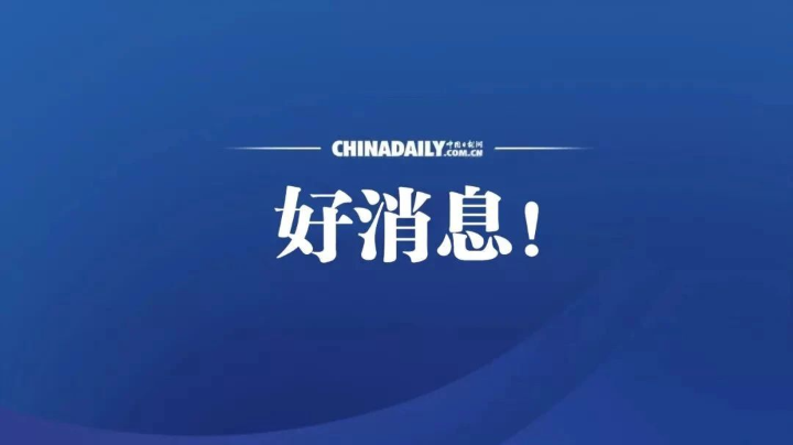 民和川海大桥最新消息：建设进度、未来展望及潜在挑战深度解析