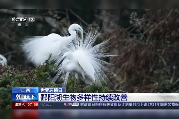 鄱阳湖水位持续下降：最新事件深度解析及未来展望