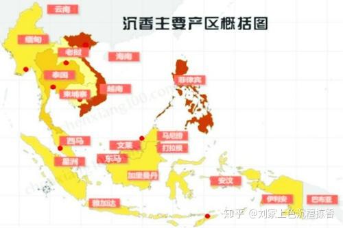 探秘最新的沉香：市场行情、品质鉴别与未来趋势