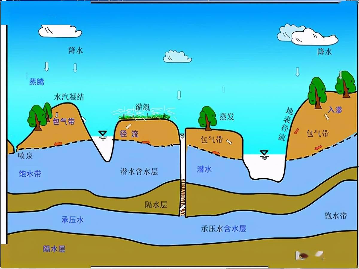 河南水位最新动态：多地水位上涨，防汛形势严峻及应对策略分析