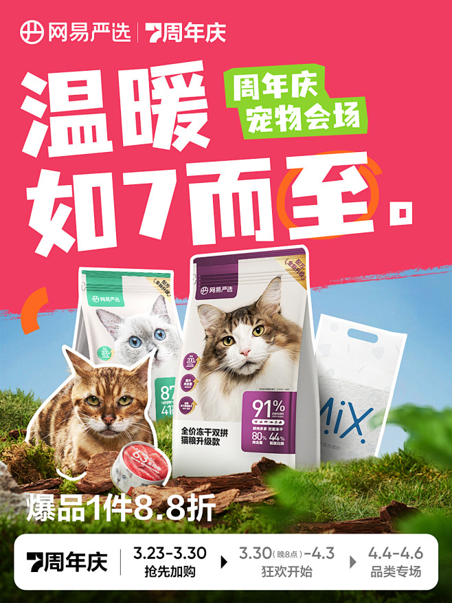 猫咪宅男必备最新指南：打造舒适治愈的宅家生活