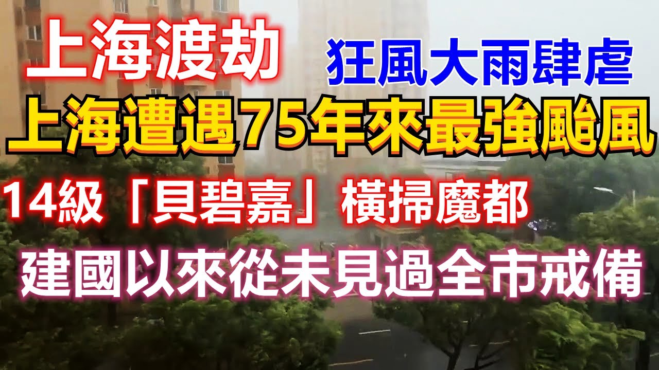 2024年最新台风预警：路径预测、影响评估及防御指南