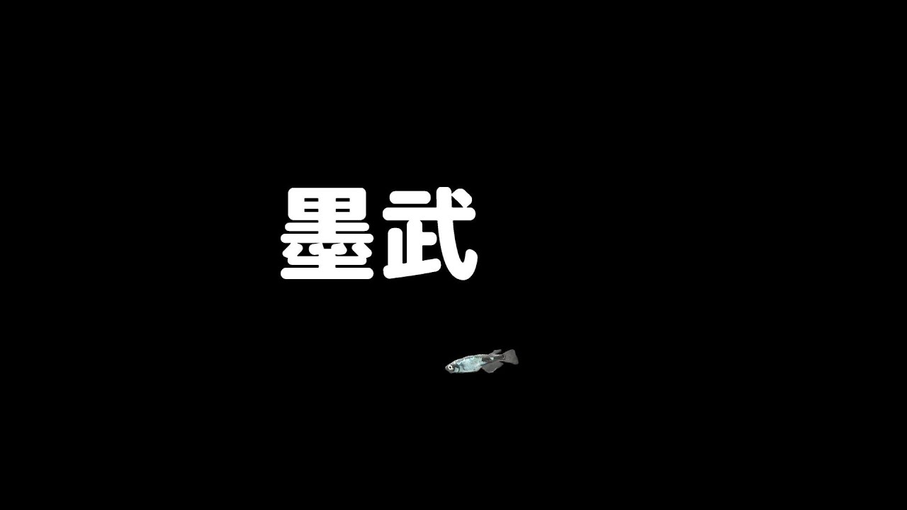 墨武最新作品深度解析：创作风格转变与未来发展趋势预测