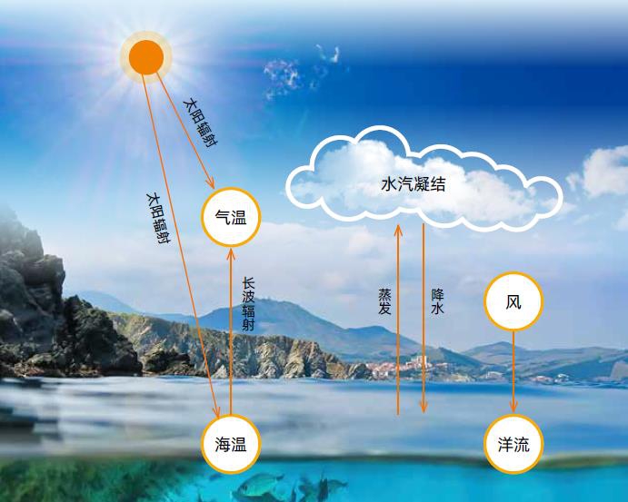 最美天气最新：分析当今天气美好的同时，将最美天气的最新事件与你共享