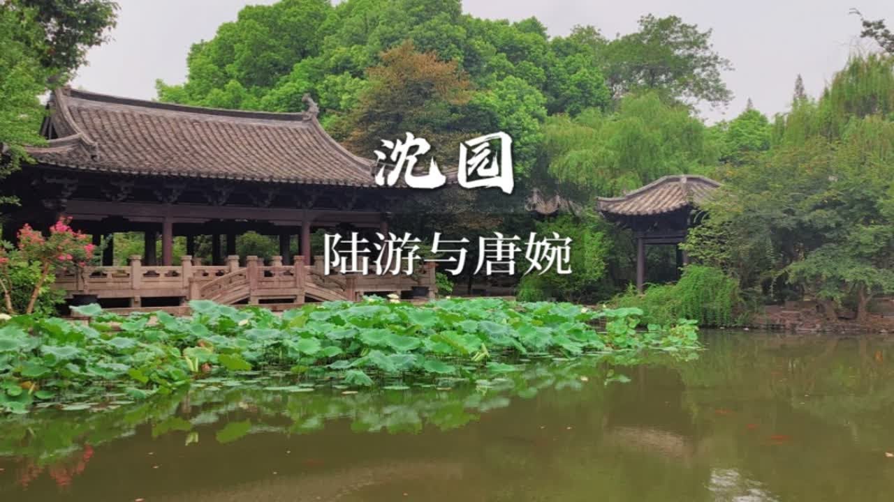 陆景年苏牧婉小说最新：剧情走向分析及人物关系解读