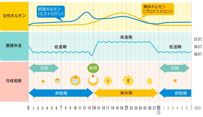 深度解读：最新日�发展趋势与未来展望