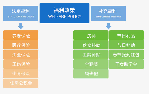 美国最新确认：地缘政治、经济走向与社会影响深度解读