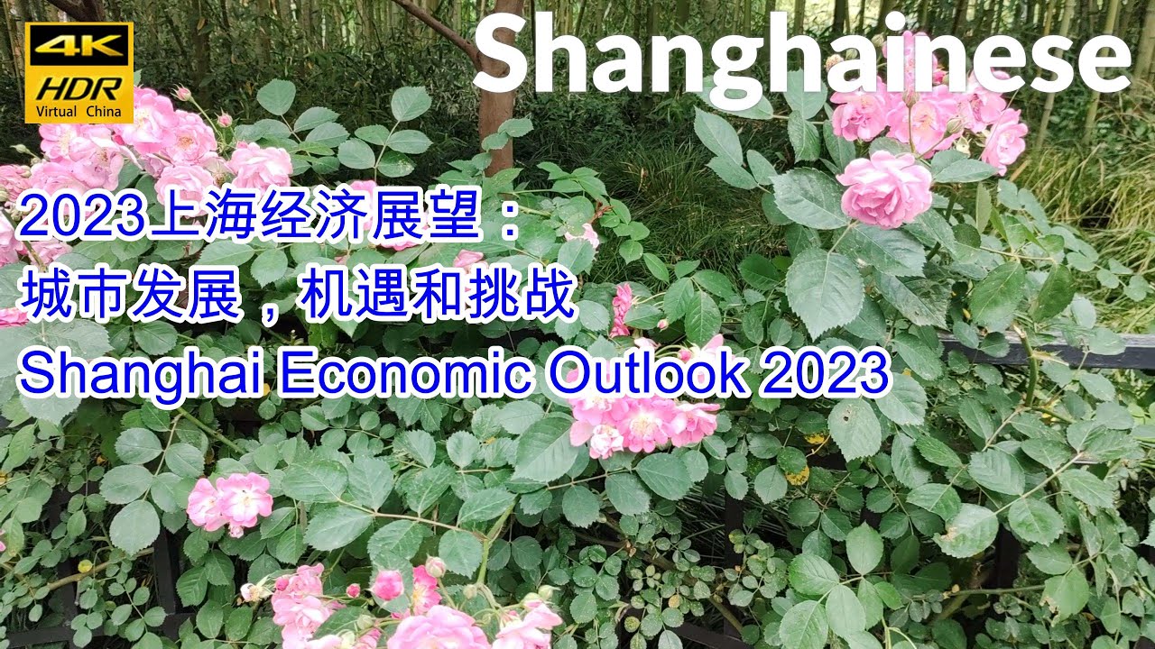 上海最新规定详解：对经济、社会和民生的影响分析