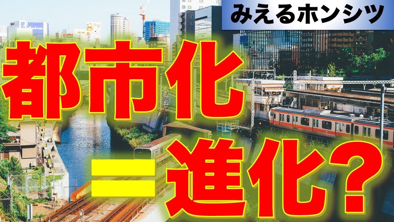 通化市最新领导班子分析：机遇、挑战与未来展望