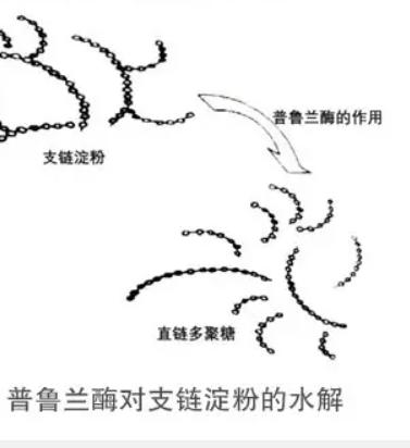 张鲁兰最新动态：从歌声到专栏，观察一位歌星的发展轨迹