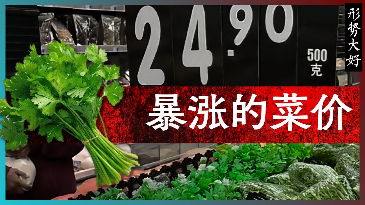 花菜价格最新行情深度解析：供需变化、市场趋势及未来预测