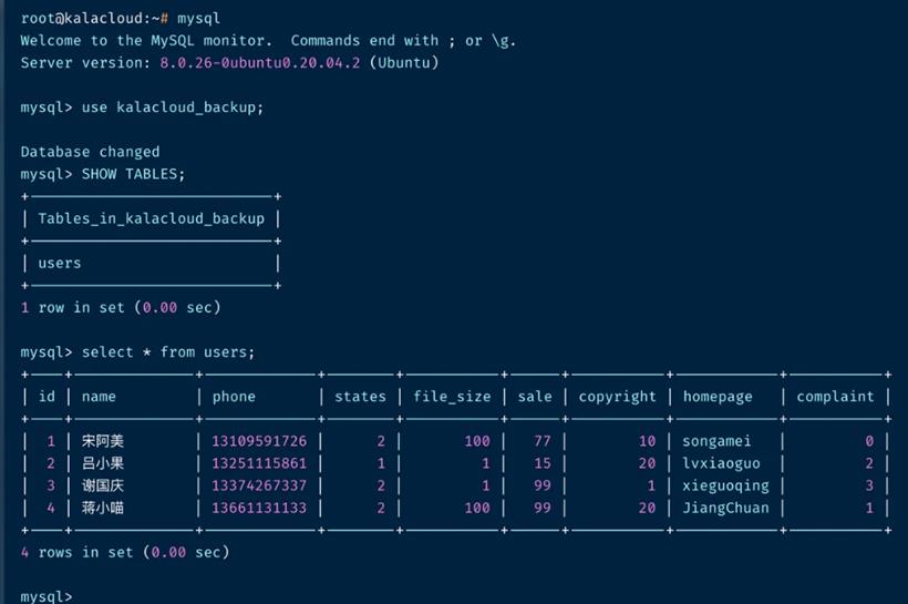 MySQL 最新版深度解析：性能提升、安全增强及未来展望