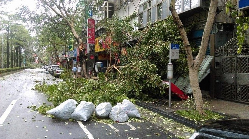 江门台风最新消息：风雨来袭，城市应对与民生保障