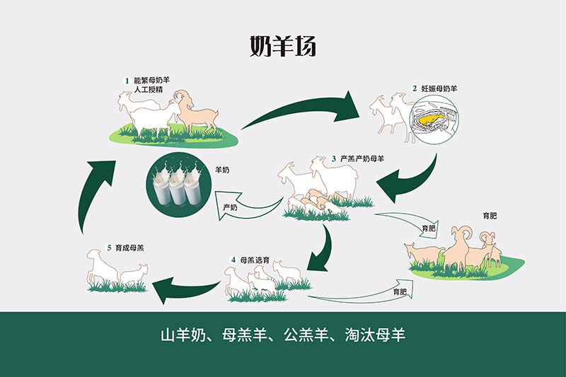 山羊最新价格行情分析：品种、地域差异与未来趋势预测