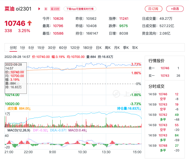 菜油行情最新分析：价格波动背后的原因及未来走势预测