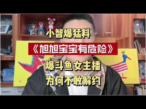 小智视频解说最新视频：深度解析与未来展望