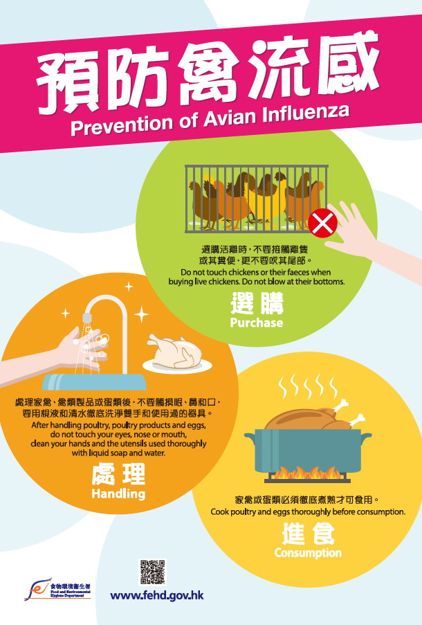 禽流感最新疫情：防控策略、经济影响及未来走势深度解析