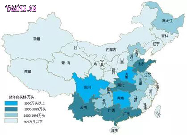 今日全国最新猪价：市场行情深度解析及未来走势预测