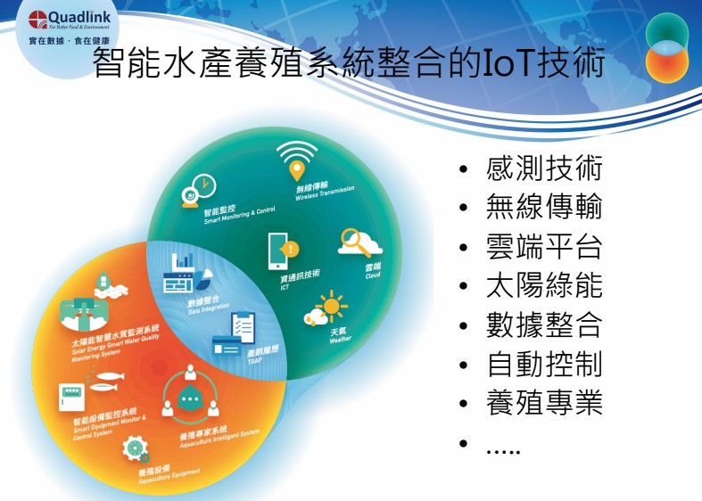 2024最新钓鱼游戏大盘点：沉浸式体验与技术革新