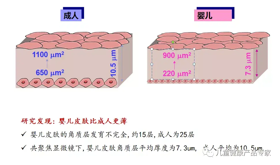 云王最新皮肤资料分析：设计意念、皮肤特点及市场视野